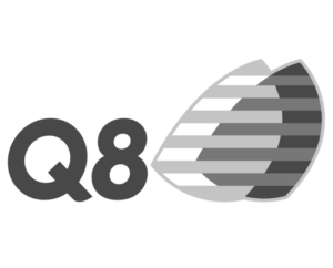 Q8 1